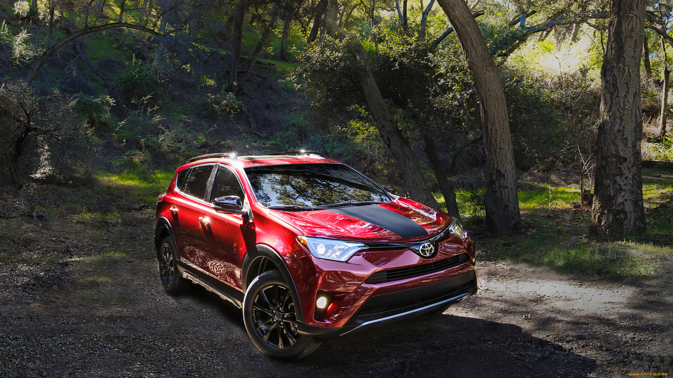 toyota rav4 adventure 2018, , toyota, rav4, adventure, 2018